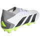 Adidas Predator Accuracy.3